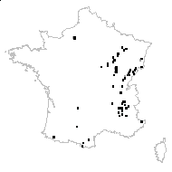 Draba carniolica Vitman - carte des observations