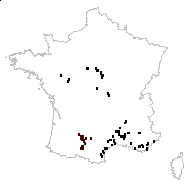 Xanthium cavanillesii Schouw - carte des observations