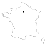 Xeranthemum inodorum Moench - carte des observations