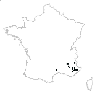 Paeonia rosea Host - carte des observations