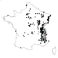 Berberis vulgaris L. - carte des observations