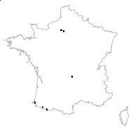 Prunella ×intermedia Link - carte des observations