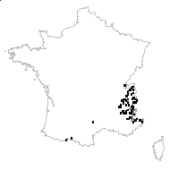 Anemone myrrhidifolia Vill. - carte des observations