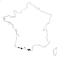 Myosotis sylvatica subsp. pyrenaica sensu Douin - carte des observations