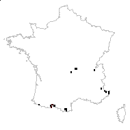 Myosotis decumbens subsp. teresiana (Sennen) Grau - carte des observations