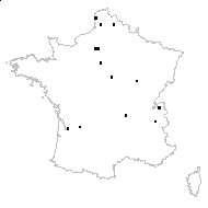 Scrophularia aquatica subsp. cinerea (Dumort.) Nyman - carte des observations