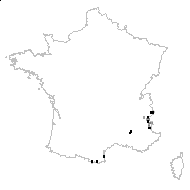 Alyssum alpestre proles gerardi Rouy & Foucaud - carte des observations