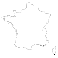 Stellera tartonraira (L.) Kuntze - carte des observations