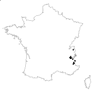 Arabis caerulea (All.) Haenke - carte des observations
