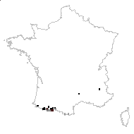 Vicia pyrenaica Pourr. - carte des observations