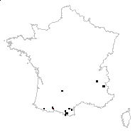 Arabis stricta subsp. corbariensis (Timb.-Lagr.) Rouy & Foucaud - carte des observations