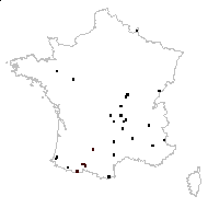 Barbarea vulgaris subsp. pyrenaica (Jord.) Bonnier - carte des observations