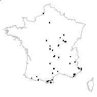 Campe praecox (Sm.) Dulac - carte des observations