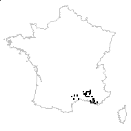 Biscutella mediterranea Jord. - carte des observations