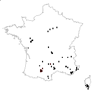 Cochlearia auriculata Lam. - carte des observations