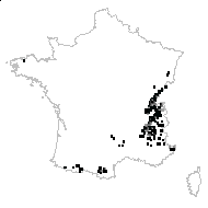 Dentaria clusiana Rchb. - carte des observations