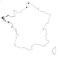 Cochlearia scotica Druce - carte des observations