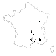 Brassica turrita Weigel - carte des observations