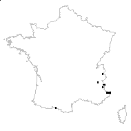 Draba alpina Clairv. - carte des observations