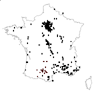 Erophila corsica Debeaux - carte des observations