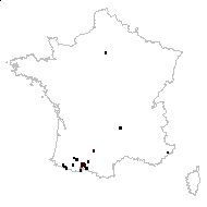 Hesperis matronalis proles nivea (Baumg.) Rouy & Foucaud - carte des observations