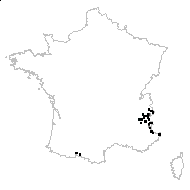 Leptobasis pinnatipartita Dulac - carte des observations