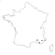 Matthiola fruticulosa (L.) Maire - carte des observations