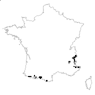 Petrocallis pyrenaica (L.) R.Br. - carte des observations