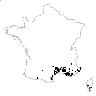 Campanula parviflora St.-Lag. - carte des observations