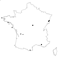 Cerastium pumilum proles glutinosum (Fr.) Rouy & Foucaud - carte des observations