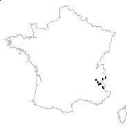 Cerastium filiforme Schleich. ex Gaudin - carte des observations