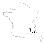 Dianthus subacaulis Vill. - carte des observations