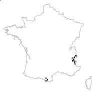 Herniaria alpina Chaix - carte des observations