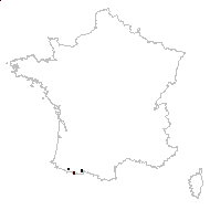 Alsine cerastiifolia var. laxa Rouy & Foucaud - carte des observations