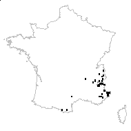 Arenaria laricifolia L. - carte des observations