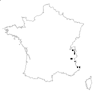 Arenaria polygonoides Wulfen - carte des observations