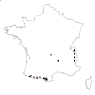 Spergula micrantha Bunge ex Ledeb. - carte des observations