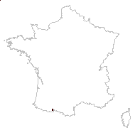 Sagina pyrenaica Rouy - carte des observations
