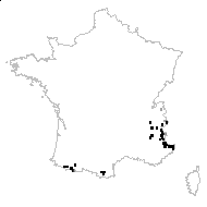 Silene acaulis proles exscapa (All.) Rouy & Foucaud - carte des observations