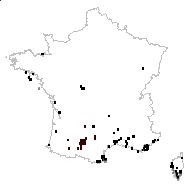 Silene transtagana Cout. - carte des observations