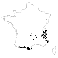 Silene rupestris var. micrantha Rchb. - carte des observations