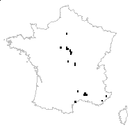 Chenopodium botrys L. - carte des observations
