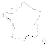 Salsola mutica C.A.Mey. - carte des observations