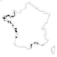 Salicornia lignosa J.Woods - carte des observations