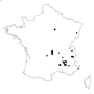 Johrenia pichleri Boiss. - carte des observations