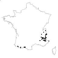 Rhodax alpestris (Jacq.) Fuss - carte des observations