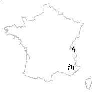 Pteroselinum austriacum (Jacq.) Rchb. - carte des observations