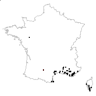 Tillaea rubra L. - carte des observations