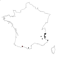 Sempervivum pyrenaicum Jord. & Fourr. - carte des observations
