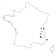 Scabiosa alpina L. - carte des observations